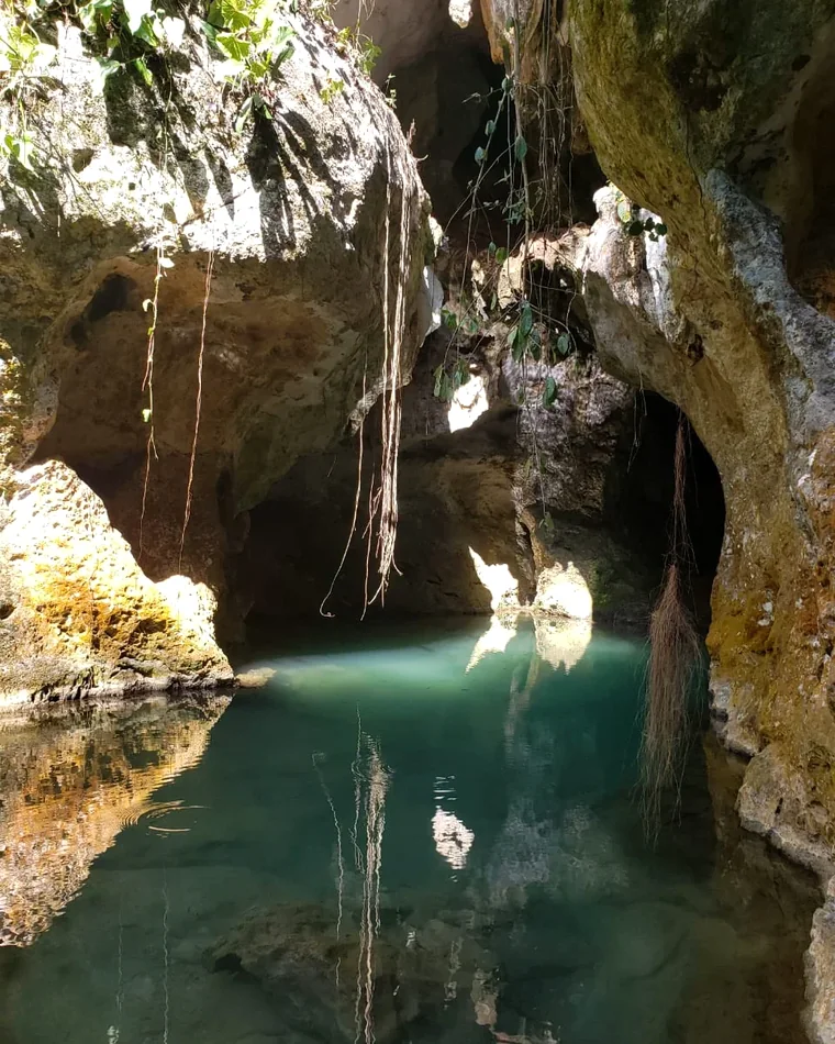 Open limestone cave entrance with clear green water and hanging roots in Belize
